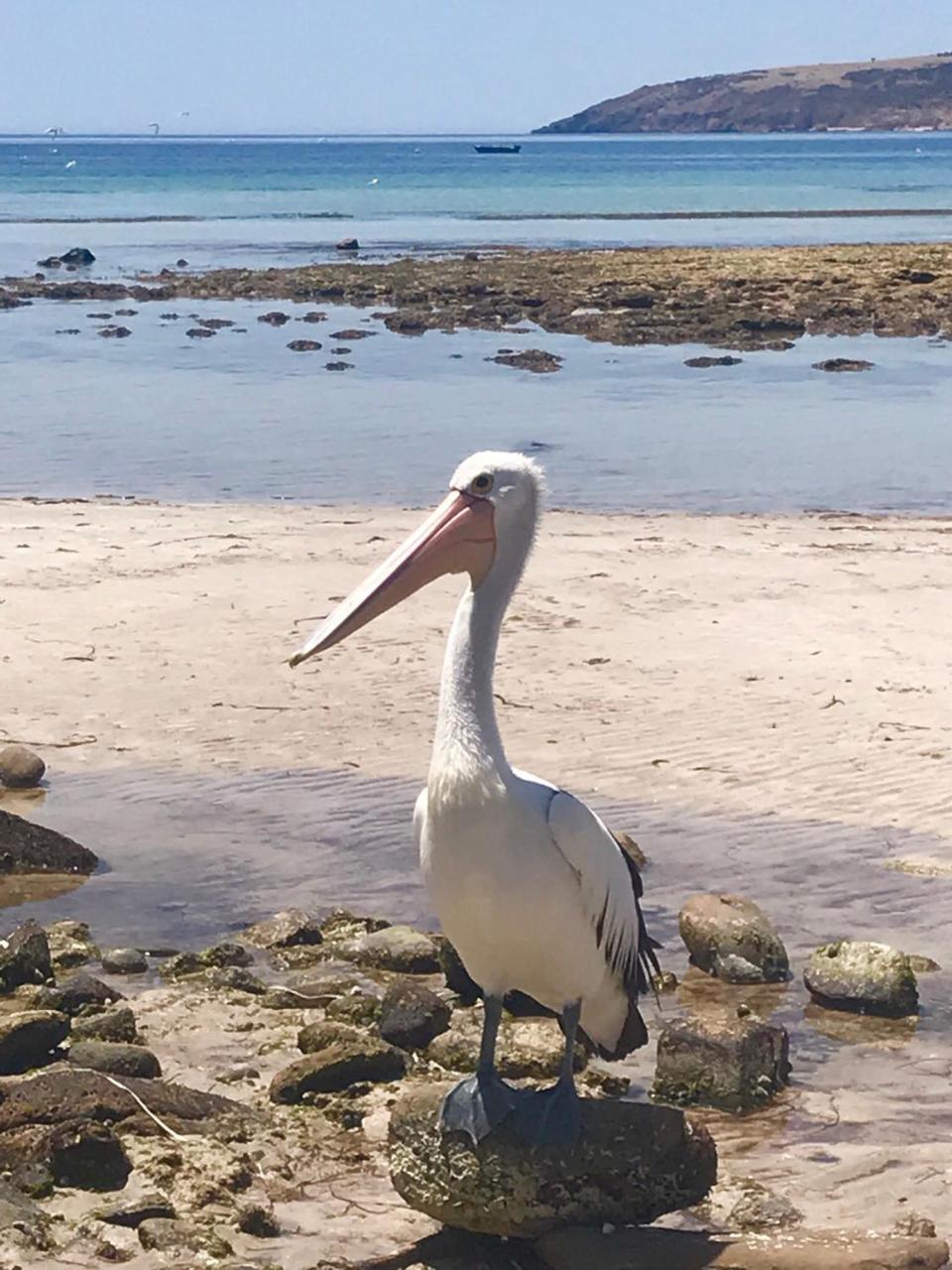 Fareview Beach House Emu Bay Bagian luar foto